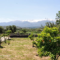 12 View of front garden, orange trees and mountains in late winter from Villa Adelphi.