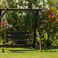 07 Maza Cottage swing seat and oleanders.