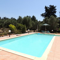11 Pegasus pool and olive groves.