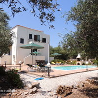 12 Villa Pegasus from the olive grove.
