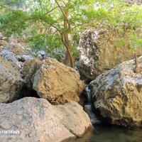 Patsos Gorge river.